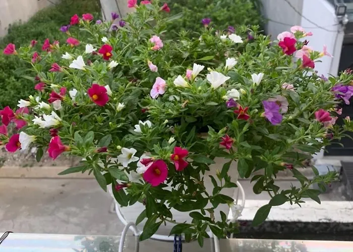 Thủ Đức Home - Nơi nghỉ ngơi như ở nhà, ấm áp tình thân TP. Hồ Chí Minh