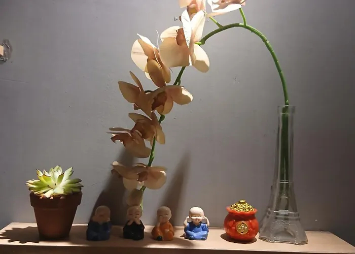 Trung tâm quận 3 Apartment TP. Hồ Chí Minh